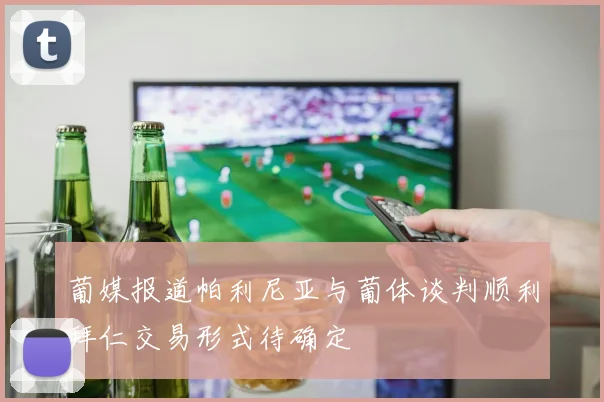 葡媒报道帕利尼亚与葡体谈判顺利拜仁交易形式待确定