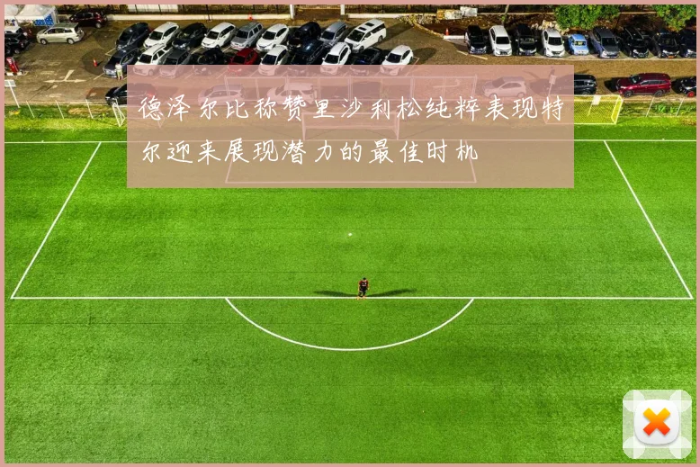 德泽尔比称赞里沙利松纯粹表现特尔迎来展现潜力的最佳时机