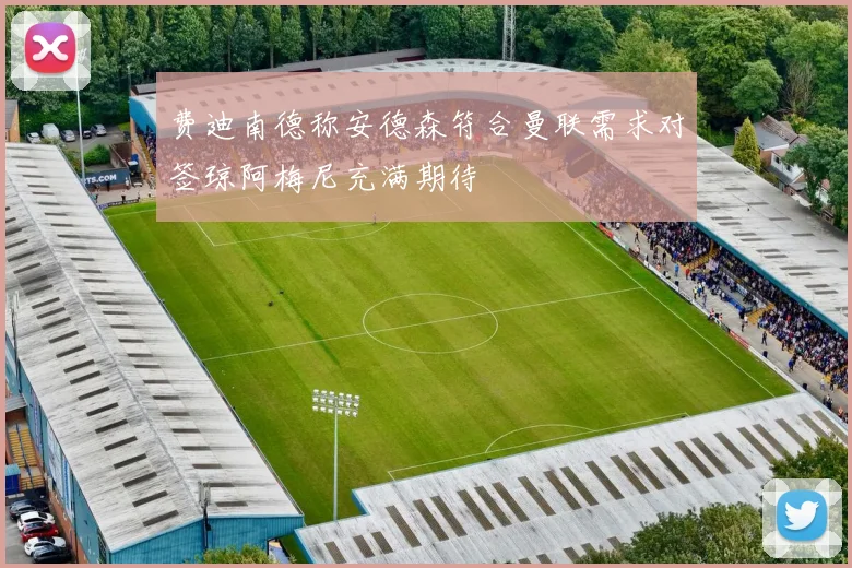 费迪南德称安德森符合曼联需求对签琼阿梅尼充满期待
