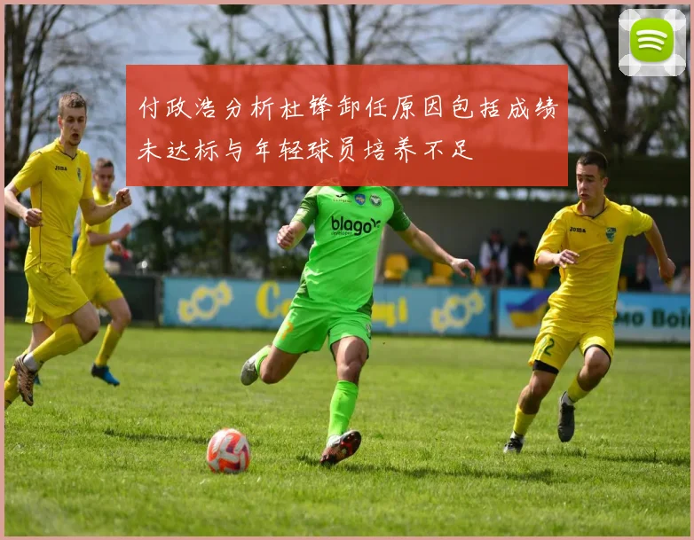 付政浩分析杜锋卸任原因包括成绩未达标与年轻球员培养不足
